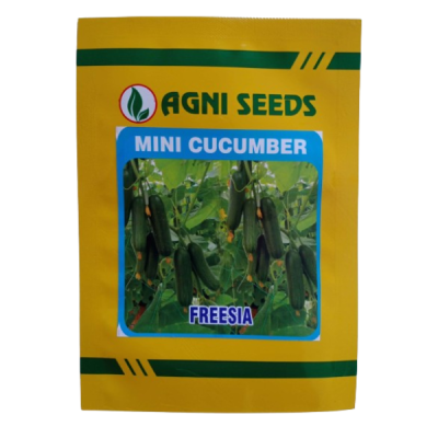 Freesia - Mini Cucumber